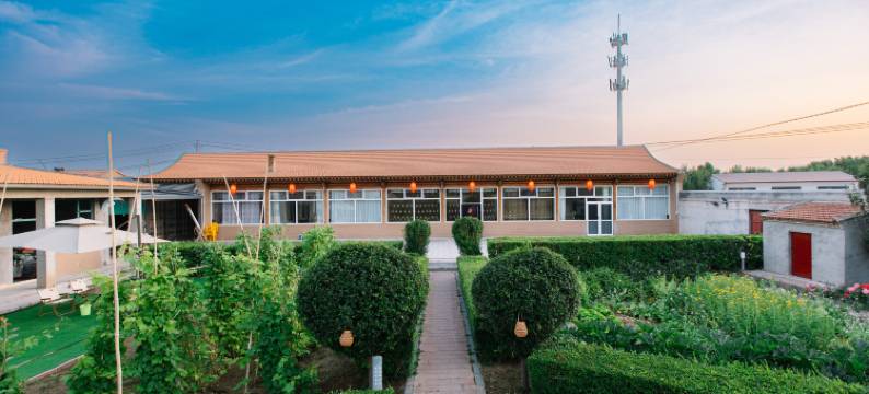 浑源恒景杏庭民宿图片