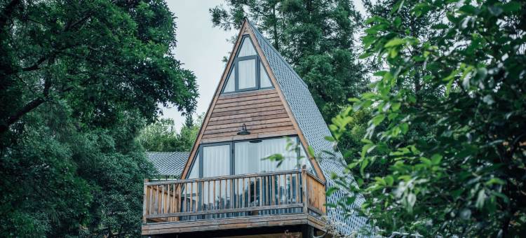 柘荣松林民宿图片