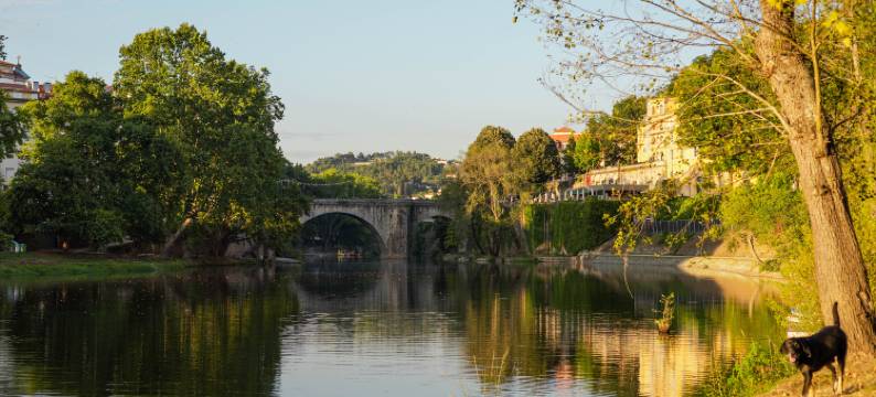 塔梅加俱乐部纳格拉斯酒店(Hotel Navarras)图片