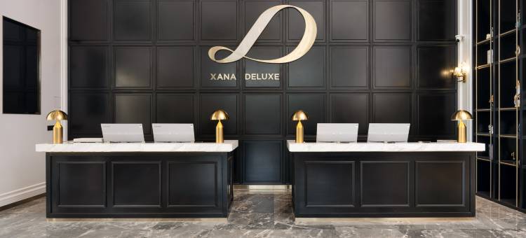 云浮新兴希岸Deluxe酒店图片