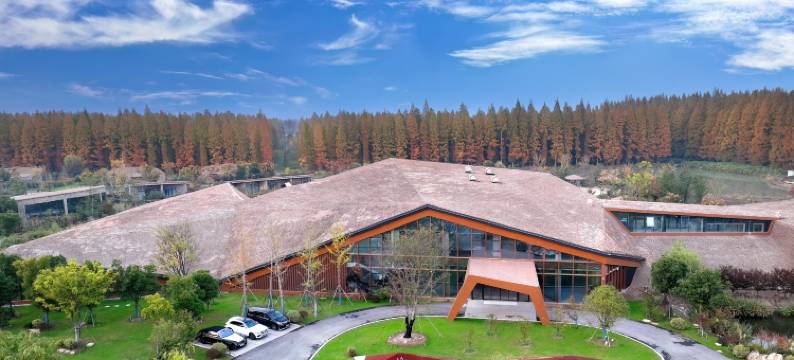 金湖水上森林·港府君澜温泉度假酒店图片