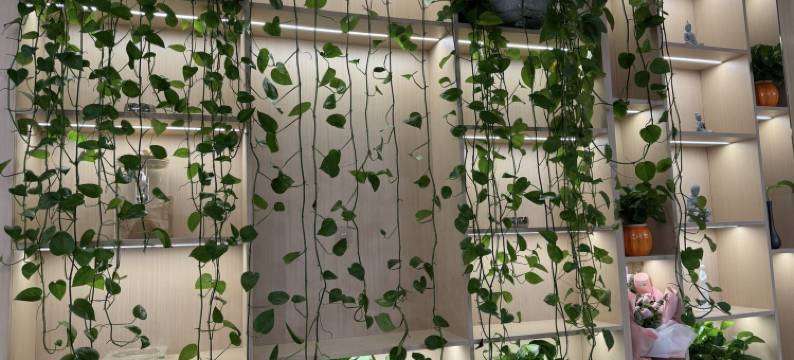 合作茗朵酒店图片