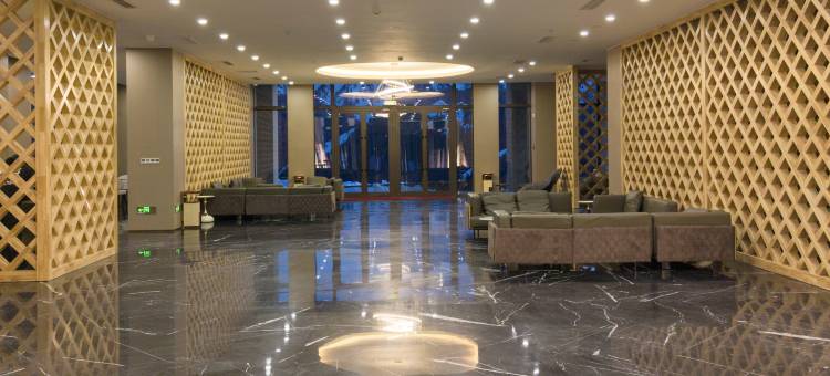 云龙栖大酒店(果子沟观景台店)图片