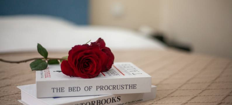 新区商务宾馆(运城盐湖国际机场店)图片