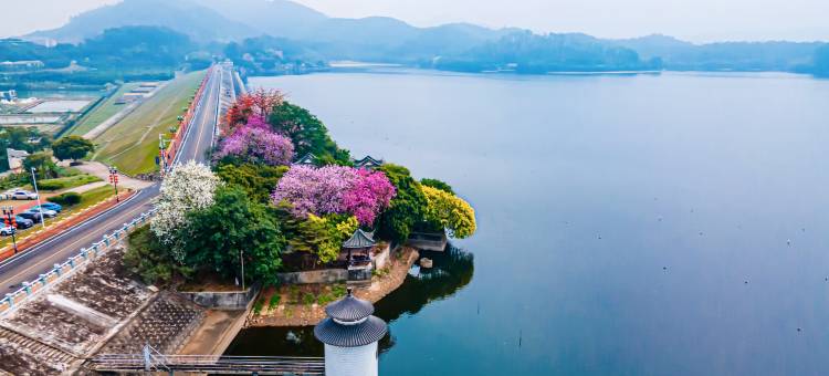 凯越酒店(东莞同沙生态公园店)图片