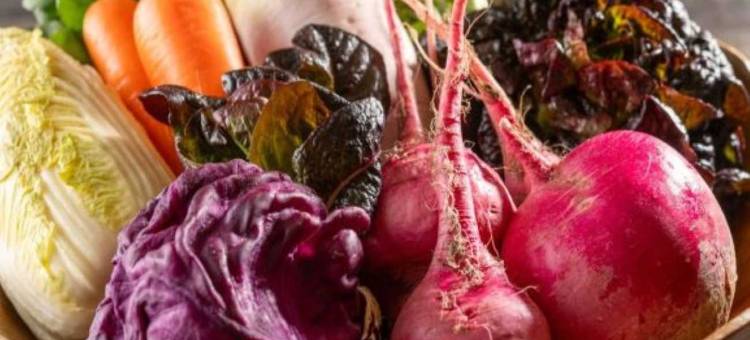 MYSTAYS立川酒店(HOTEL MYSTAYS Tachikawa)图片