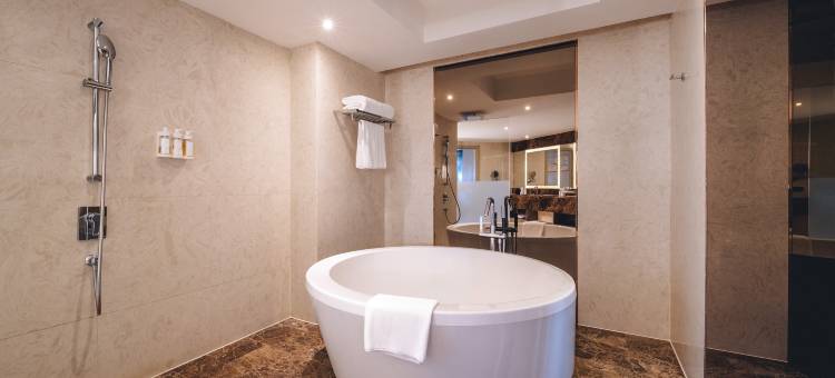 昆明中心假日酒店图片