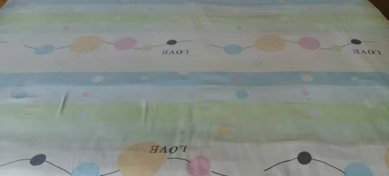 临洮北狮巷旅社图片