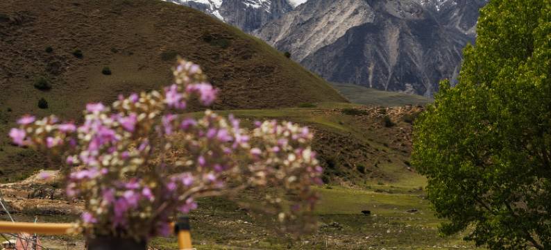 格聂·仓央庄园图片