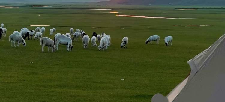 围场塞罕坝鼎美庄原酒店图片