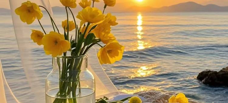 澜岸海景公寓(阳江海陵岛保利银滩店)图片