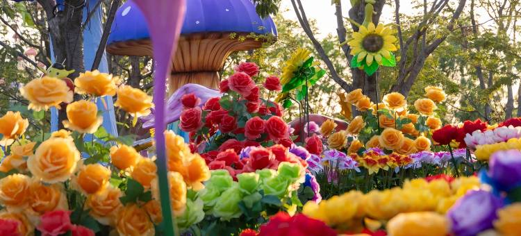 深圳海上田园酒店图片