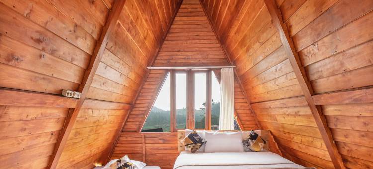 钻石小屋(Diamond Cabin House)图片