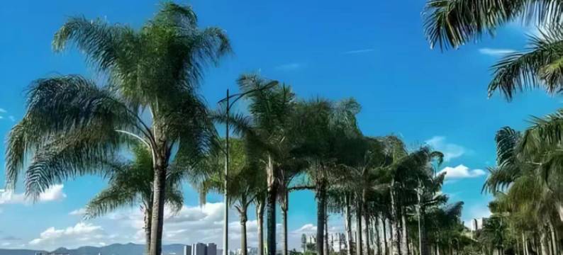 弥勒弥岸私汤温泉民宿(湖泉生态园店)图片