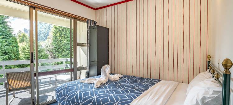 火焰奇异鸟青年旅馆(The Flaming Kiwi Backpackers)图片