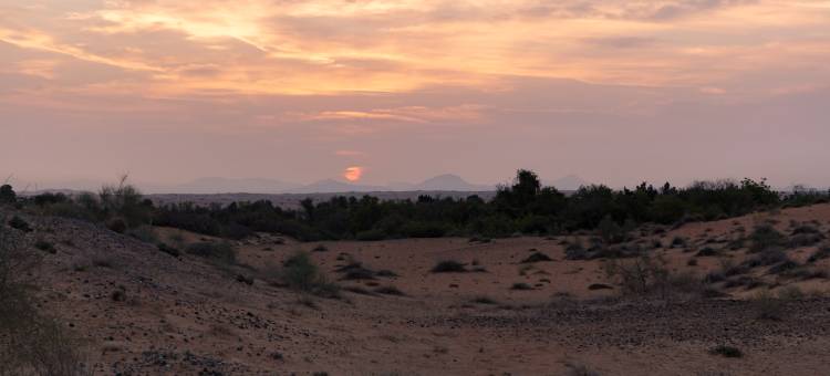 迪拜阿玛哈豪华精选沙漠水疗度假酒店(Al Maha, a Luxury Collection Desert Resort & Spa, Dubai)图片