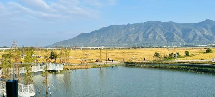 和秧合社·和秧别院图片