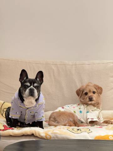 蜜悦·深圳天麓秘野仙踪度假美宿图片