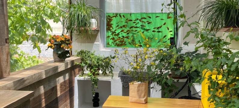 亲然亲子花园·见山温泉度假 Villa美墅    (怀北国际滑雪场店)图片