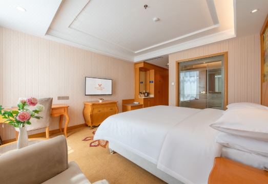 Vienna Hotel (Delingha Xinyuan Road) Hotel Overview