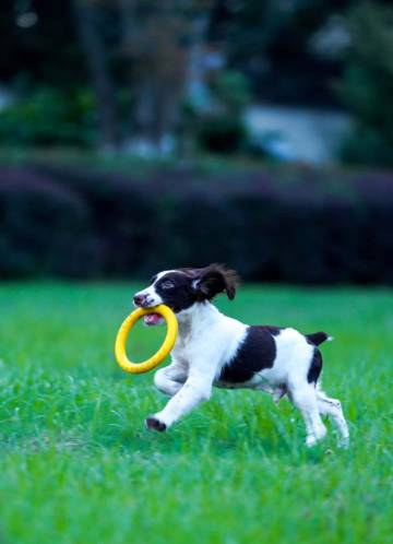 莫干山德莹山居(庾村景区店)图片