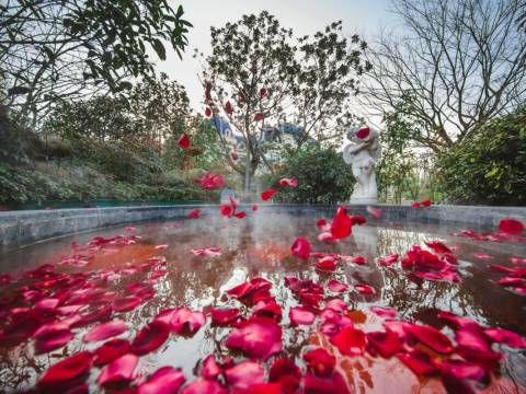 无锡弘阳洛克菲花园酒店图片