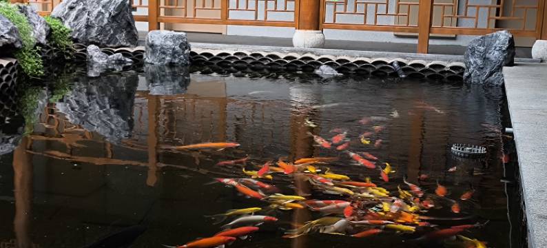 南昌会心假日酒店(南昌站恒茂梦时代广场店)图片