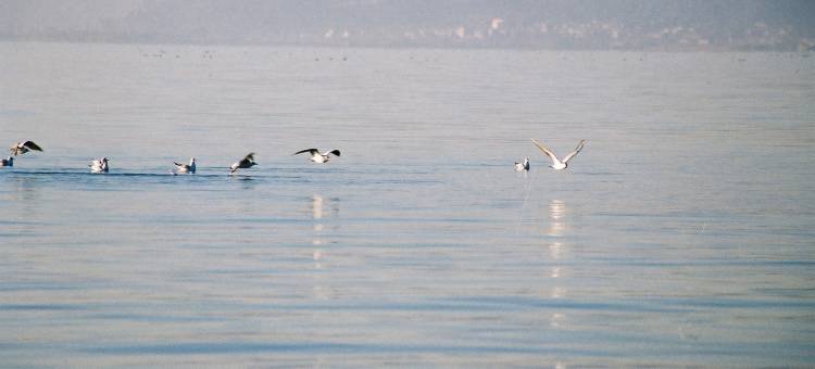昆明洲际酒店图片