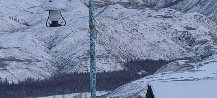 北驿辰居(白哈巴景区店)图片