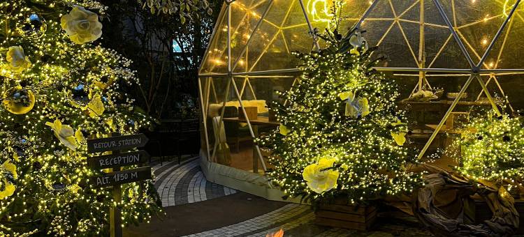 巴黎夏特雷大堂诺富特酒店(Novotel Paris les Halles)图片