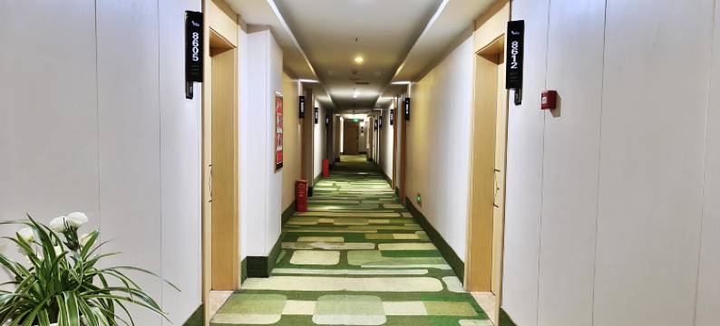 青皮树酒店(罗田城市广场店)图片