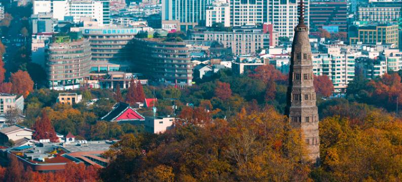 杭州温德姆至尊豪廷大酒店图片