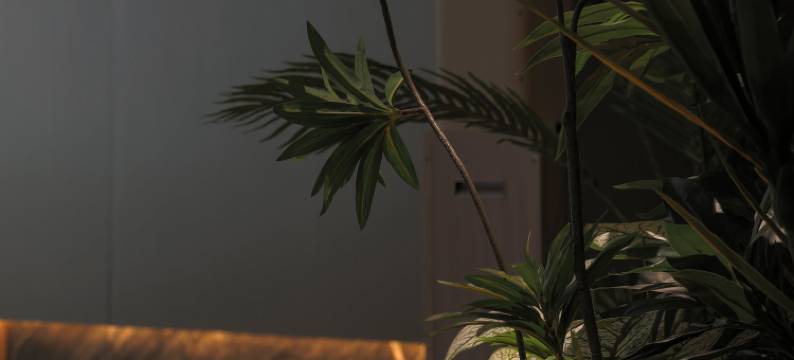 禧悦国际酒店图片