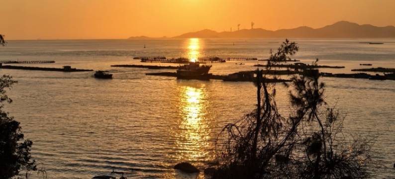 怡景湾公寓(阳江海陵岛大角湾店)图片