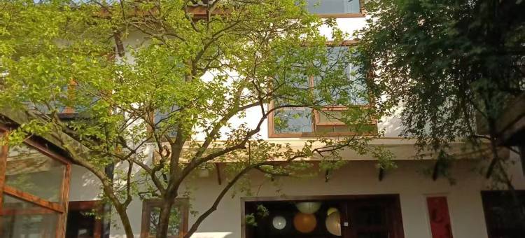 缙云小住丨避世·森系·冶愈·美宿(重庆缙云山4A景区店)图片
