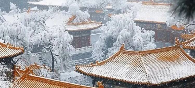 北京前门大栅栏亚朵酒店图片