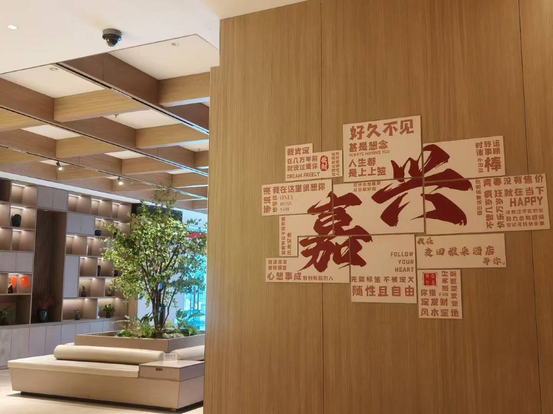 嘉兴麦田雅朵酒店(八佰伴购物中心月河历史街区店)图片