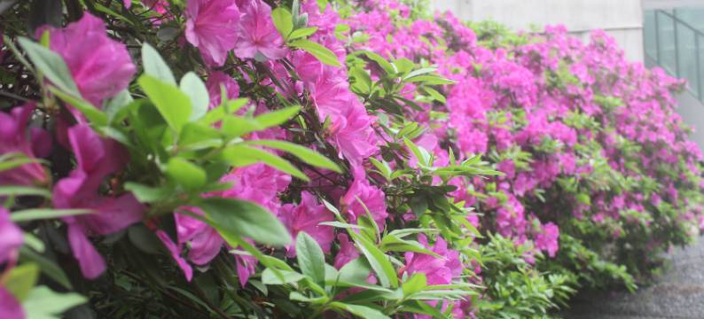 富厚雅居酒店(常德步行街店)图片