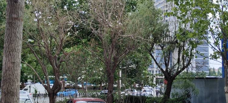 青岛金凯利宾馆(青大附院店)图片