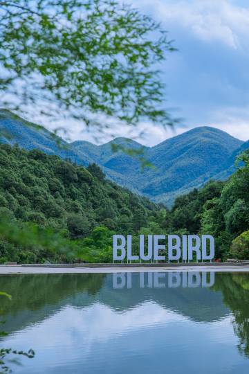 安吉牧云山谷·青鸟coffee|山野私汤·锦鲤游船度假美宿图片