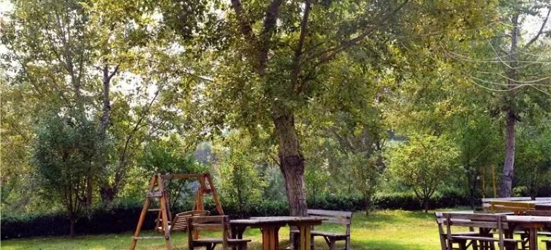 青果树屋营地图片