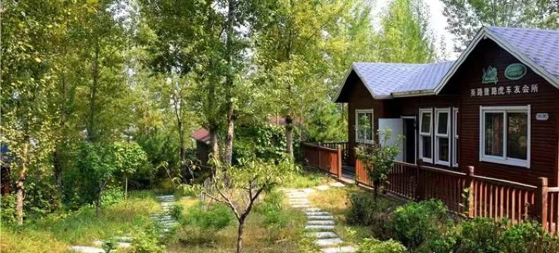 青果树屋营地图片