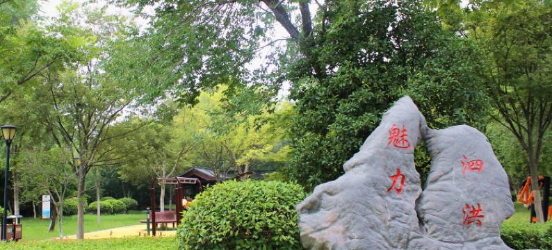 泗洪宏源国际大酒店图片