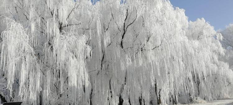 雾凇岛凇聚缘客栈图片