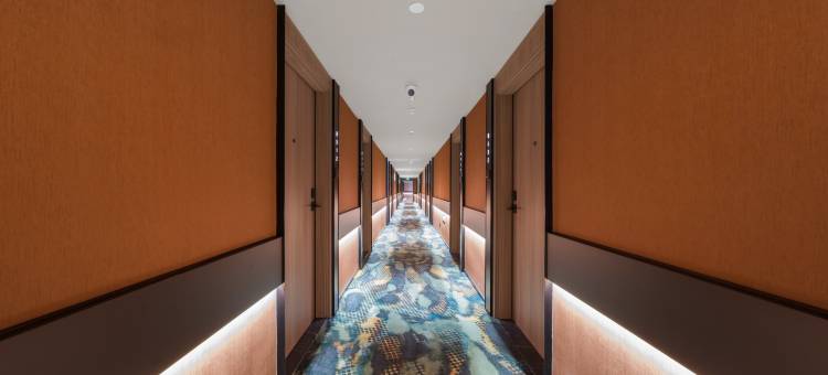 桔子酒店(泉州万达泉秀路店)图片