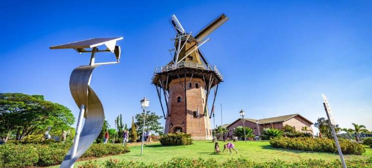 霍兰布拉皇家郁金香酒店(Royal Tulip Holambra)图片