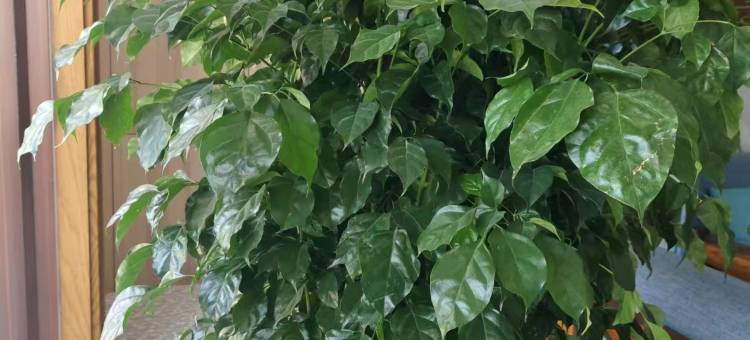 敖汉旗新水湾宾馆图片