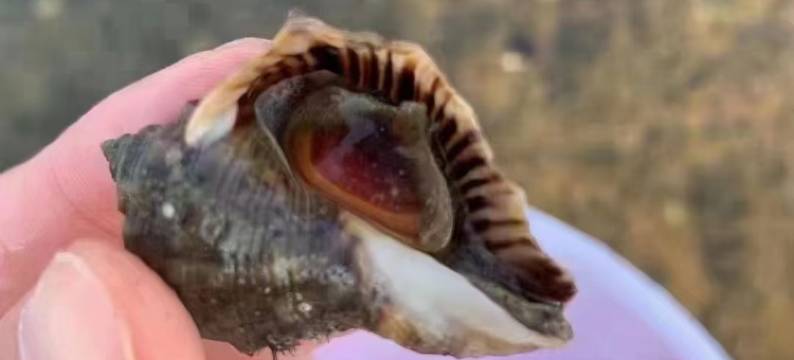 东戴河御景龙湾海天一色海景公寓图片