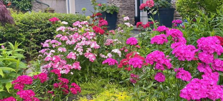 温哥华德比郡之家(Derbyshire House)图片