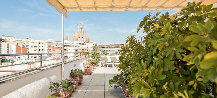 贝斯特阿拉尼亚酒店(Hotel Best Aranea)图片